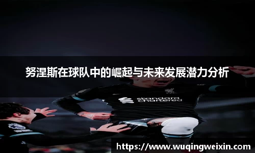 努涅斯在球队中的崛起与未来发展潜力分析