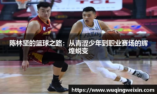 陈林坚的篮球之路：从青涩少年到职业赛场的辉煌蜕变