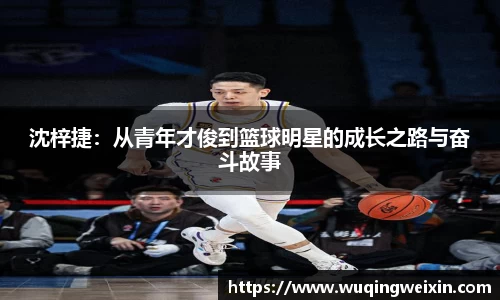 米兰体育平台